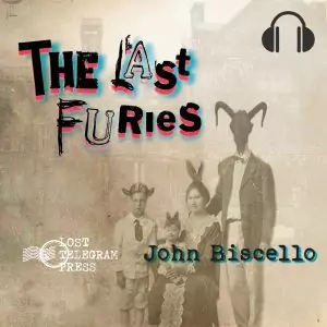 The Last Furies (audio book)