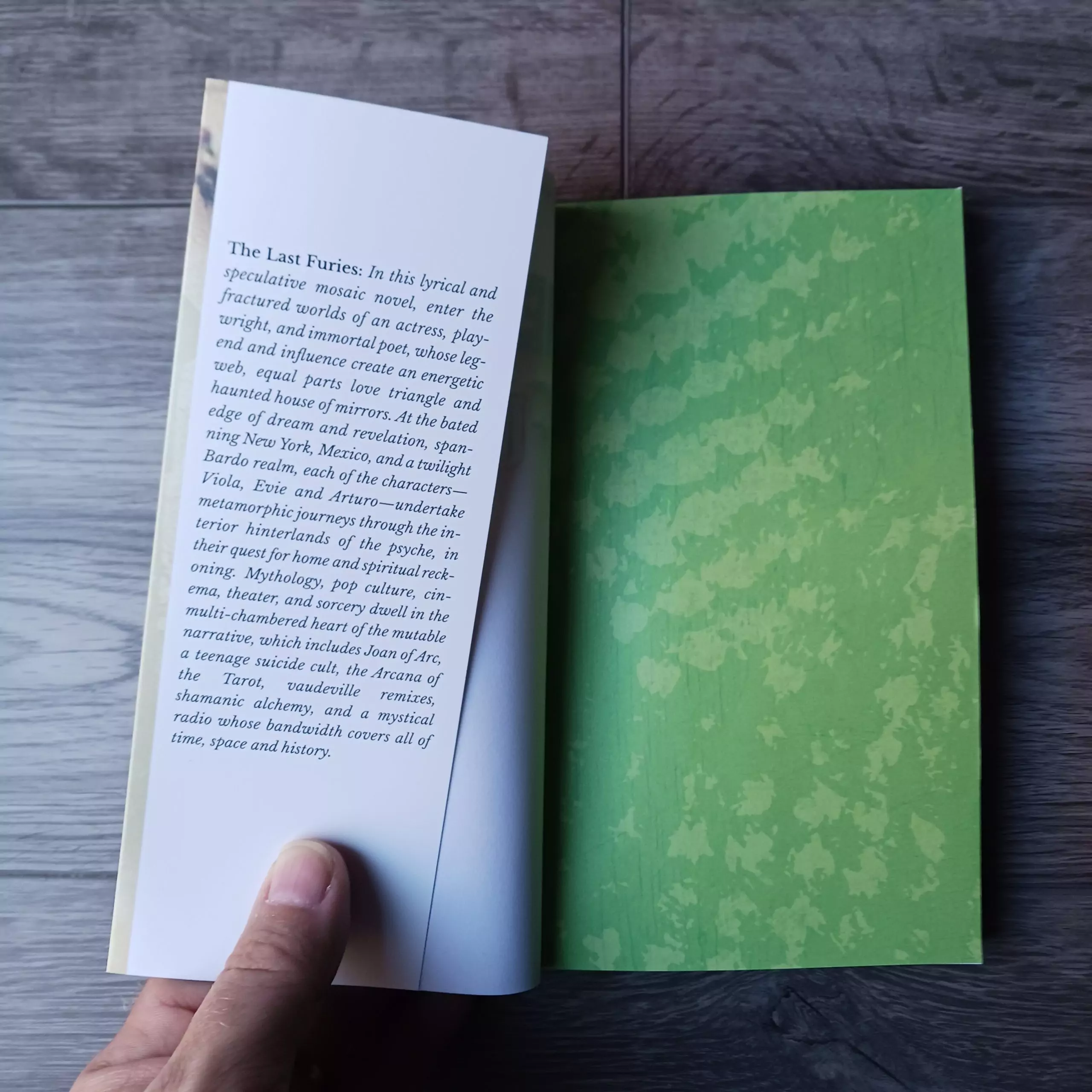 The Last Furies - Image 2