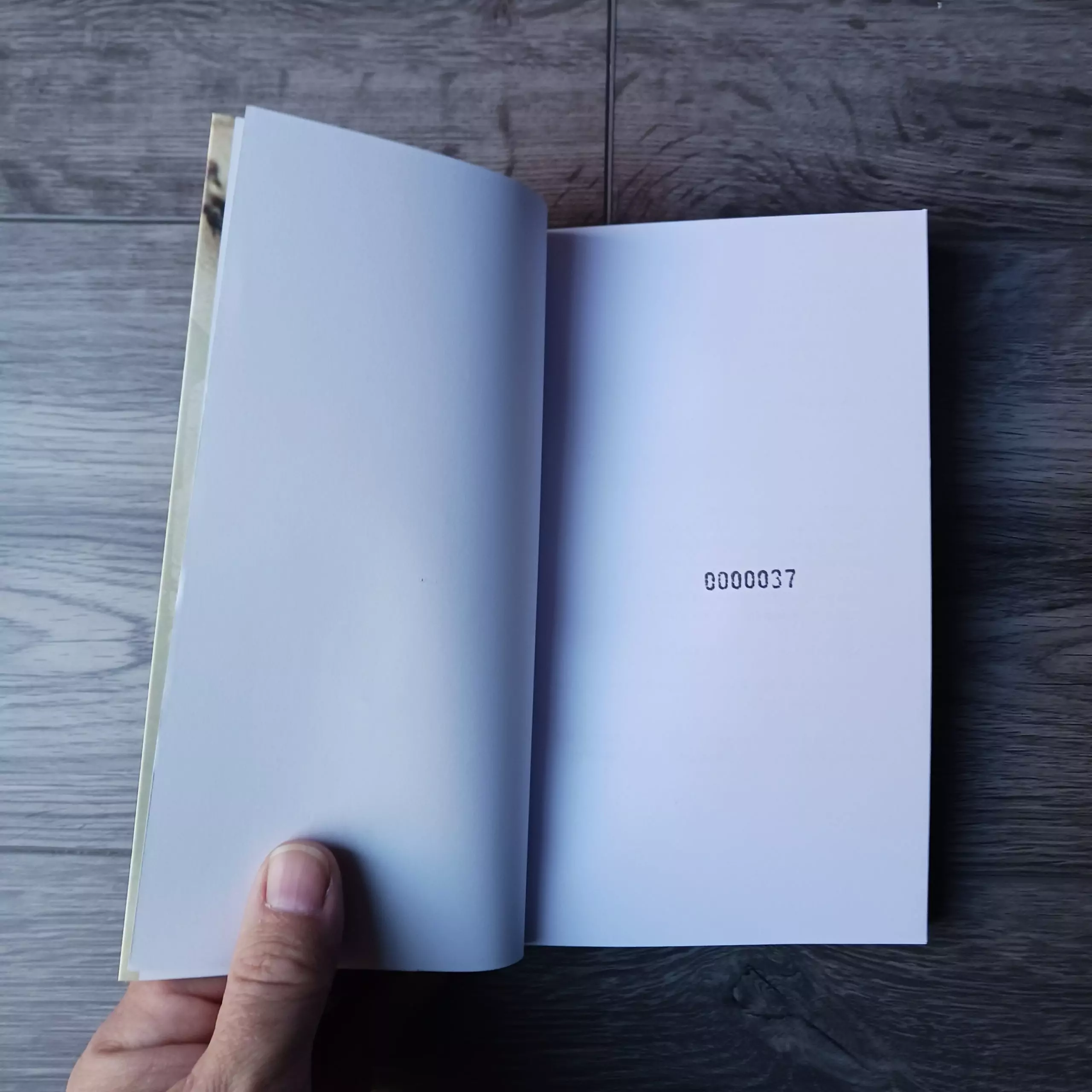 The Last Furies - Image 3