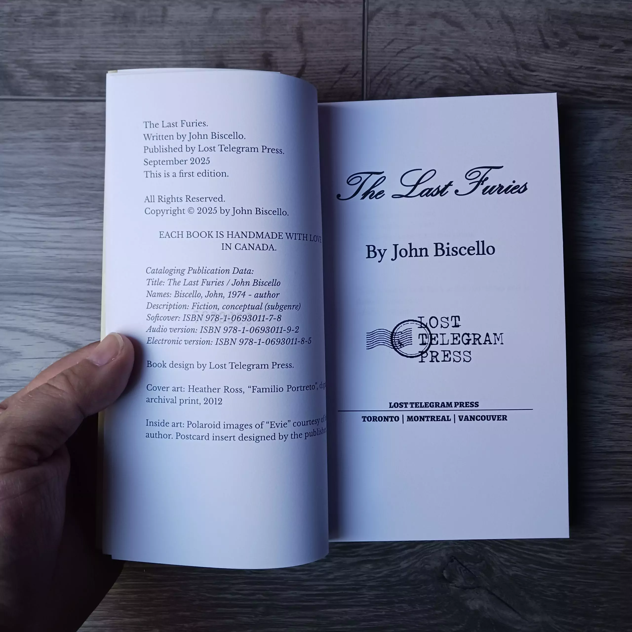 The Last Furies - Image 4