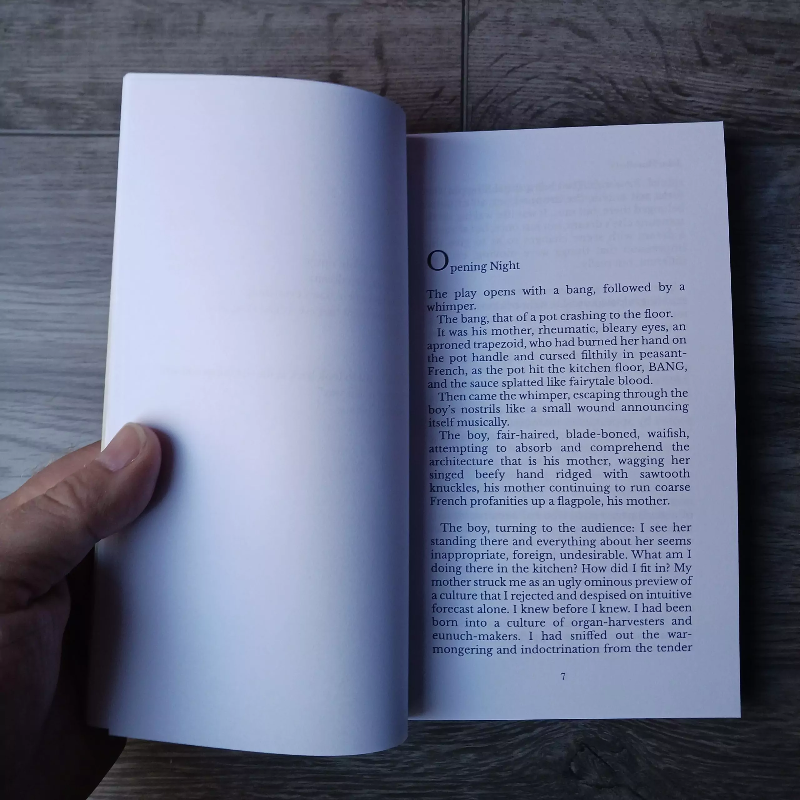 The Last Furies - Image 5