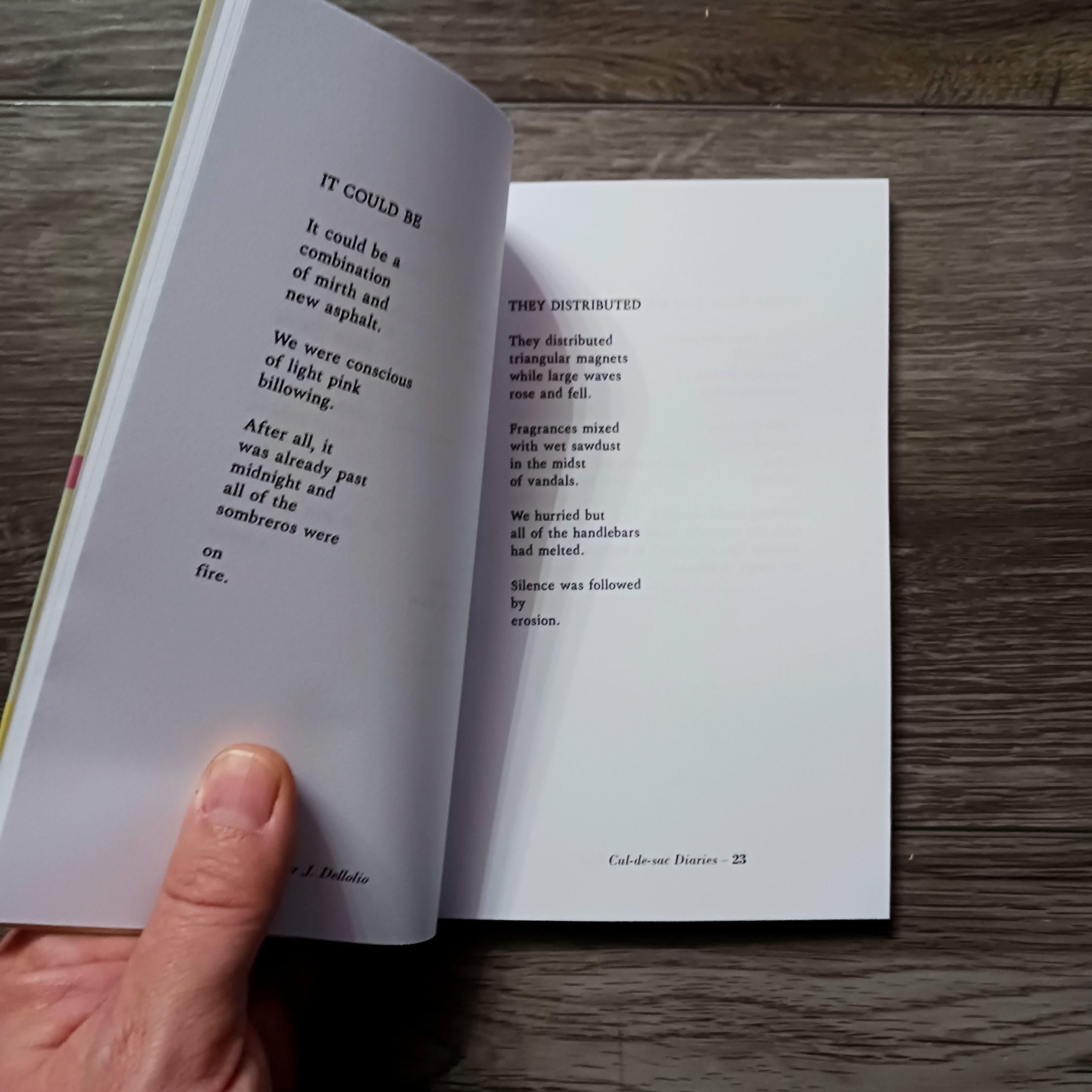 Cul-de-sac Diaries (softcover) - Image 7